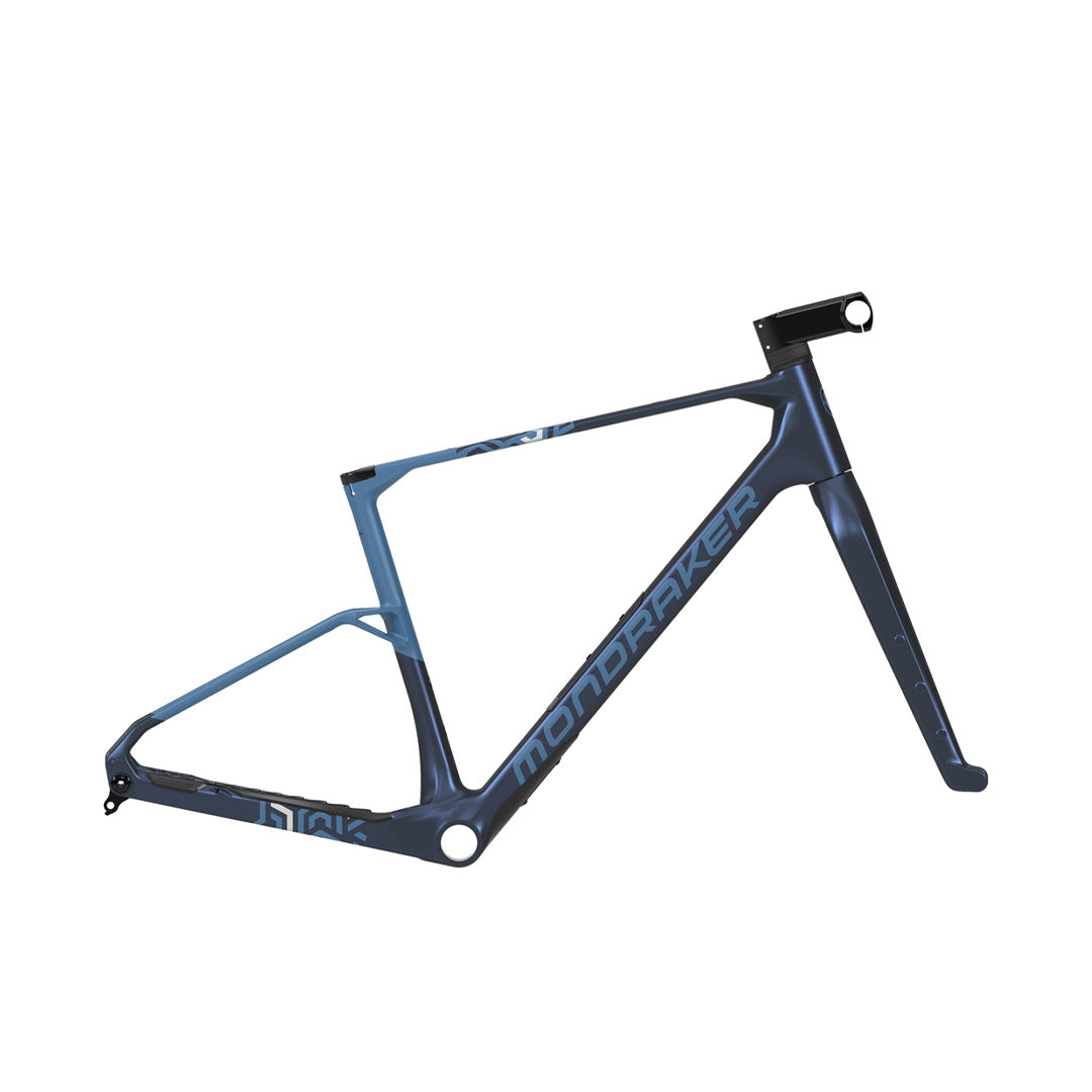 CUADRO ARID CARBON RR SL