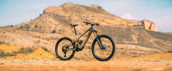 Mondraker - Zendit