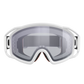 Goggles POC Zygon