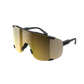 Lentes POC Devour