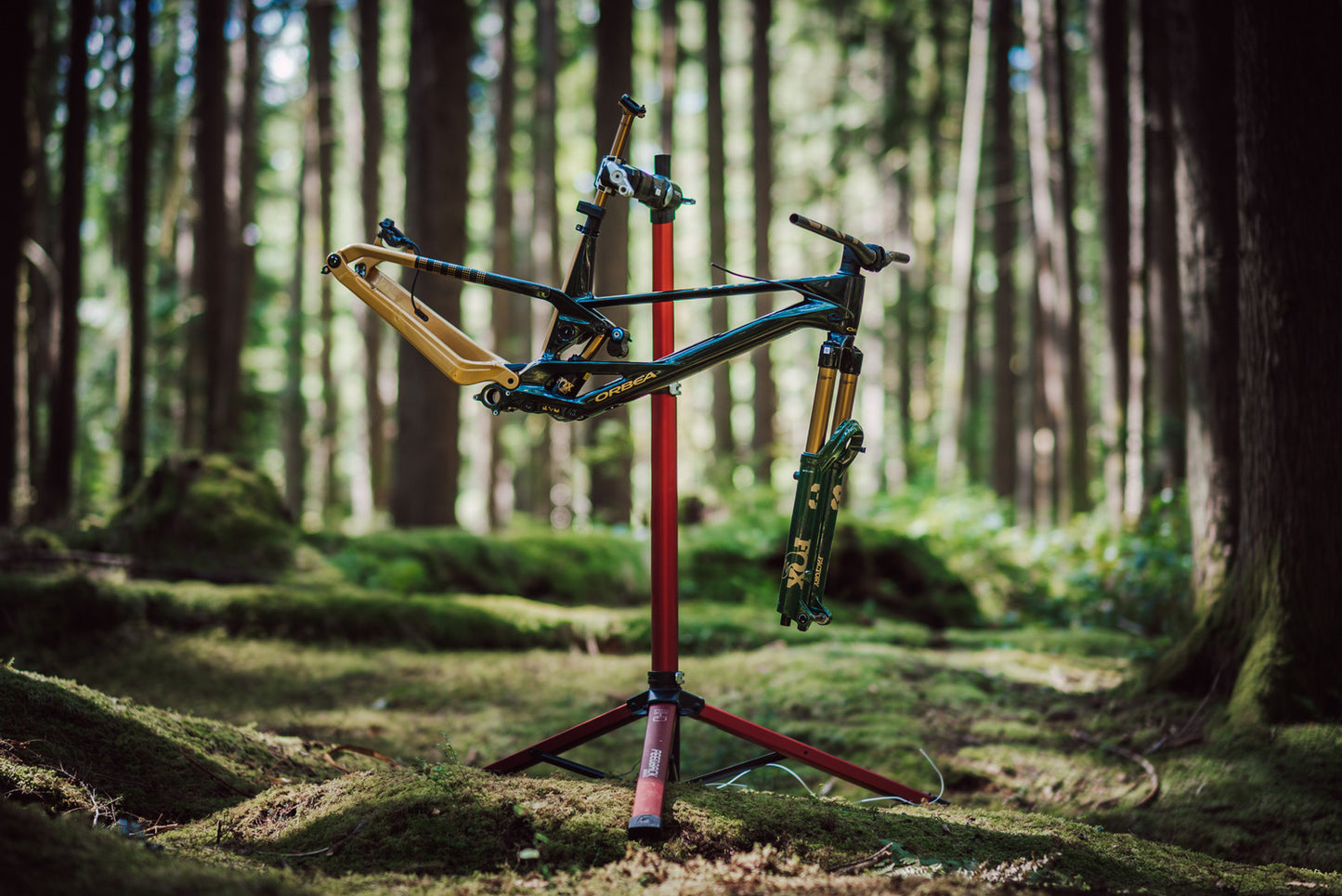 Horquilla Fox 38 29, Grip X2, 170 mm, Racing Green, Kashima