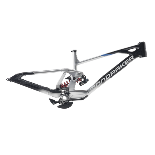 SUMMUM RR FRAME Team Edition 2027