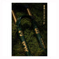 Poster FOX 38 Racing Green