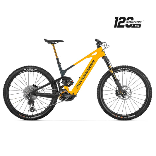 CRAFTY CARBON RR S